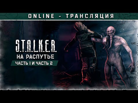 Видео: S.T.A.L.K.E.R.: На Распутье. Часть 1 и Часть 2 💢 Stream #1