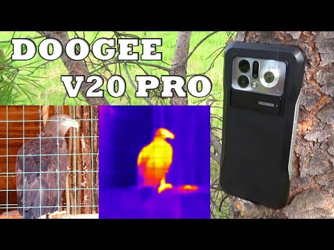 Видео: DOOGEE V20 Pro - отличный телефон для охоты, рыбалки, туризма. Защищённый смартфон с тепловизором