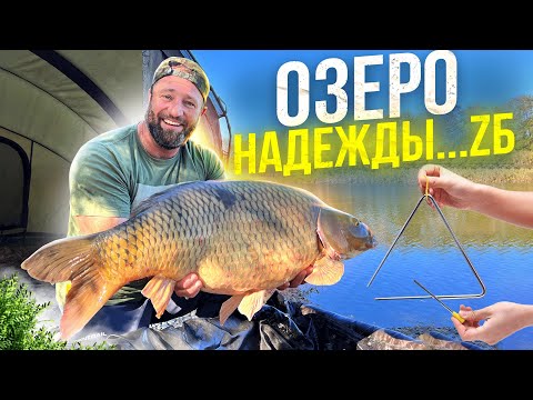 Видео: Осенняя ловля карпа на Золотом! Надежда на медийность! ЛииииГа… ZБ!