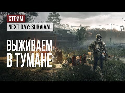 Видео: Стрим: Next Day: Survival. Выживаем в тумане с "Калашниковым"