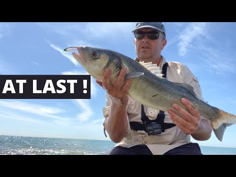 Видео: самая маленькая приманка ловит 6-фунтового окуня