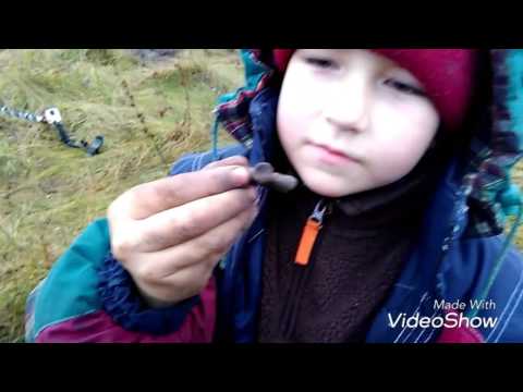 Видео: Поиск кладов на хуторе, или "Трио Тесоро".