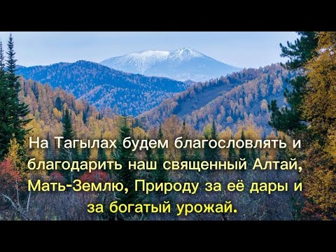 Видео: На Алтае 32 села начали подготовку к обряду Мӱргӱӱл "Жёлтая Листва". 10.09.2024г.