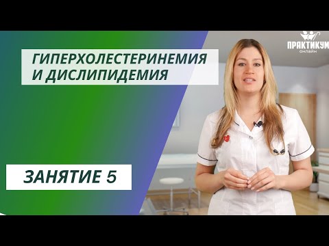 Видео: Гиперхолестеринемия и дислипидемия