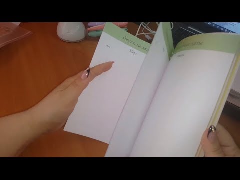 Видео: Контрольный журнал от Ирины Соковых. Обзор. Flylady. Мой ежедневник.