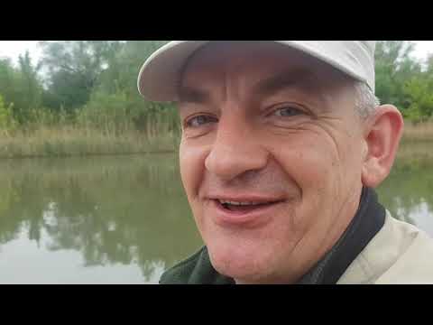Видео: Как поймать селедку на Днестре?