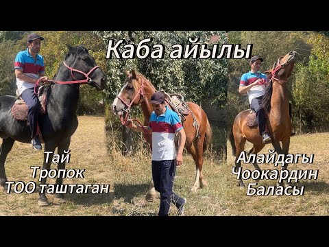 Видео: Надир акенин Аттары чыкты