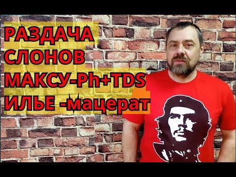 Видео: Розыгрыш призов и раздача слонов подписчикам канала ЧЕ ГЕВАРА