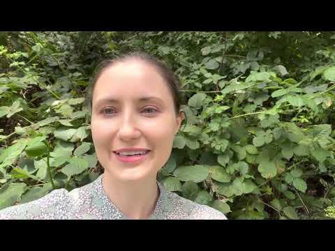 Видео: 🌹САМАЯ ТАИНСТВЕННАЯ РОЗА🌹L‘ Artisan  Parfumeur.🌹VOLEUR DE ROSES🌹.