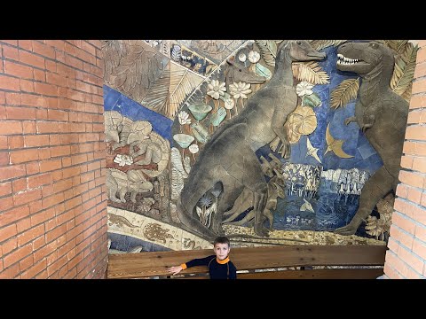 Видео: Кири в Палеонтологическом музее