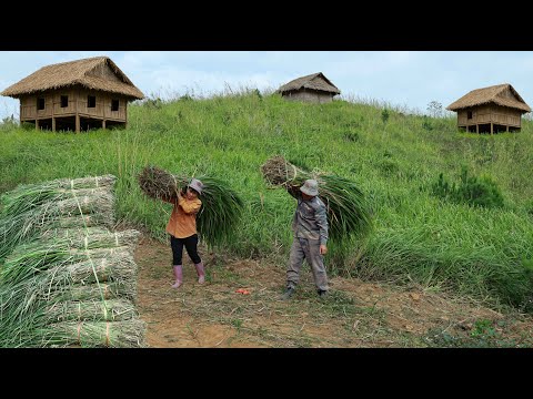 Видео: Восстановление дома после стихийного бедствия: как мы сделали крышу из натуральных материалов