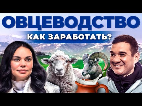 Видео: Как получают лучших овец? Овцеводство как бизнес. Овечье молоко и баранина. Андрей Даниленко