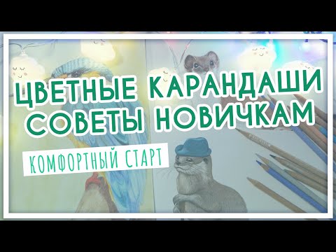 Видео: Цветные карандаши. Советы и лайфхаки новичкам. Как начать рисовать?