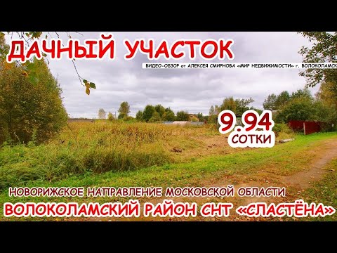 Видео: 26 сентября 2025 г.
