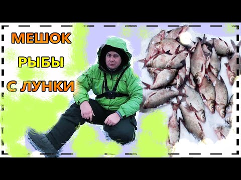 Видео: НИКОГДА СТОЛЬКО НЕ ЛОВИЛ\ПОДЛЕЩИК\оз.КОПА\РЫБАЛКА В КАЗАХСТАНЕ\КОКШЕТАУ