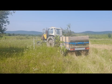 Видео: ЮМЗ 6 АЛ. Ремонт і заміна ТНВД. Попав на заміну!.
