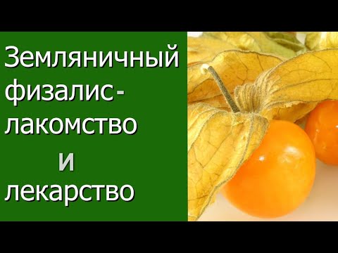 Видео: Земляничный физалис - лакомство и лекарство.