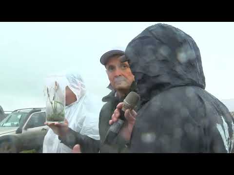 Видео: Родная земля от 26/07/2024 - ТНВ