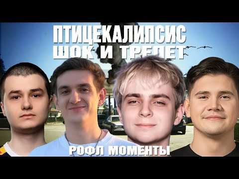 Видео: МОКРИВСКИЙ СМОТРИТ ПТИЦЕКАЛИПСИС: ШОК И ТРЕПЕТ (shadowkekw, evelone, baz) / РОФЛ МОМЕНТЫ