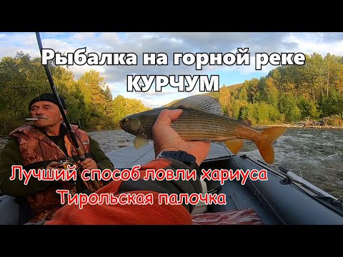 Видео: Косим хариуса с отцом на реке Курчум #2/Лучшая снасть для ловли хариуса/Рыбалка в ВКО.