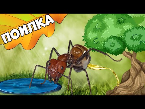 Видео: Как сделать поилку для муравьиной фермы из пробирки или из шприца