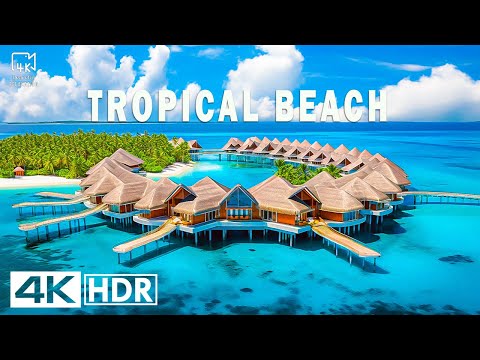 Видео: Тропический пляж в 4K — Бали, Мальдивы, Бора-Бора: самые красивые пляжи мира 🏝️✨