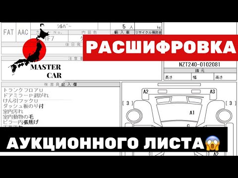 Видео: Аукционный лист.Расшифровка. Вся правда.