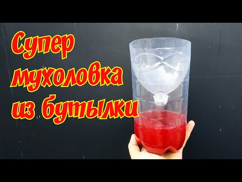 Видео: Мухоловка из пластиковой бутылки