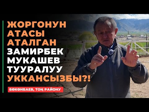 Видео: 200 миллион долларлык жылкы | жарышта утулбаган ат | 38 унаа уткан жорго | Замирбек Мукашев