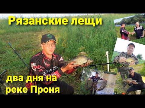 Видео: Рязанский лешь. Два дня на реке Проня. часть-1