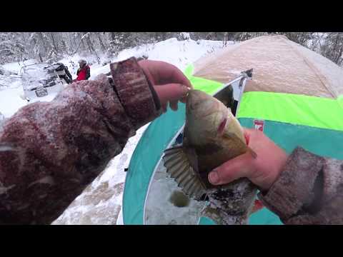 Видео: РЫБАЛКА В ХМАО НА КРУПНОГО ОКУНЯ