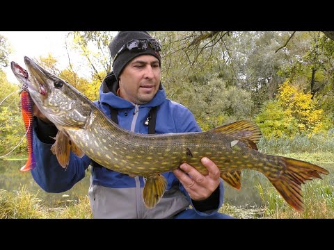 Видео: Приманки на Велику Щуку. Ловля на Кастинг