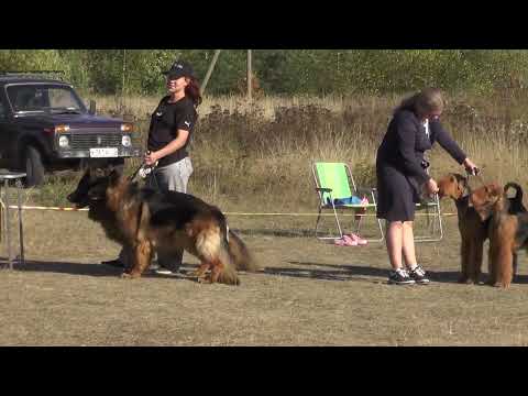 Видео: пары Карелия