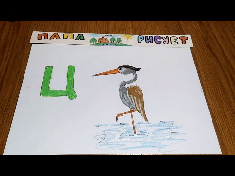 Видео: Рисуем Цаплю/Русский Алфавит. Буква Ц/ Урок Рисования / How to draw a Heron / Drawing Lesson