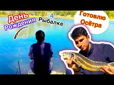 Видео: День рождения на рыбалка. Рыбалка на разные виды удилище. Приготовление осетра и праздничного стола
