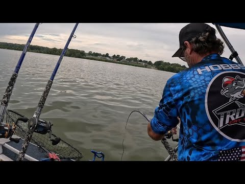 Видео: Мы целый день ловили эту рыбу | Ловля голубого сома на реке Огайо