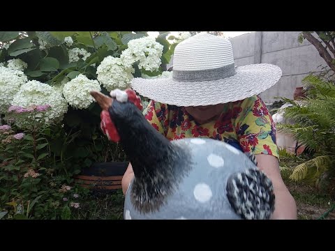 Видео: Взяла Детский МЯЧИК и Сделала Вот ЭТО