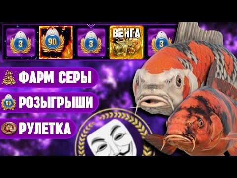 Видео: 🔴СТРИМ РР4┃⭐ ПРОВЕРКА ФАРМА КОИ НА ОЗЕРЕ МЕДНОМ┃🎁 РОЗЫГРЫШ КАЖДЫЕ 20 МИНУТ┃maXS1k