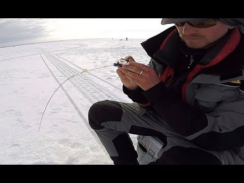Видео: ПЛОТВА: весенние ЗАГИБЫ сторожка на безмотылку!