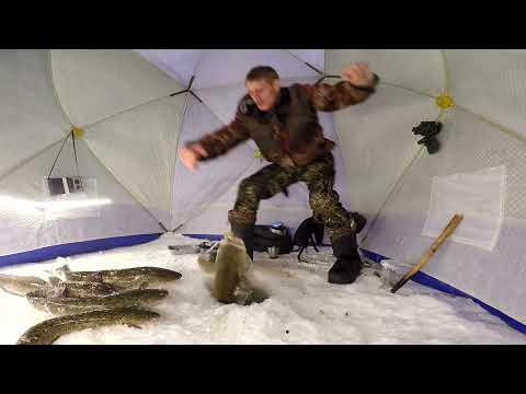 Видео: Налим на стук! на тропе! 2022.