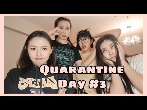 Видео: Quarantine Day#3 "Найз залуу гомдов"