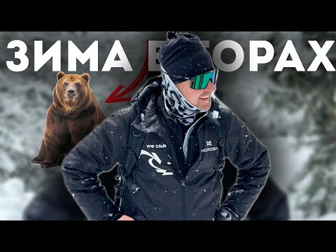 Видео: Как я провёл ЗИМУ 2023-24. Что будет дальше?