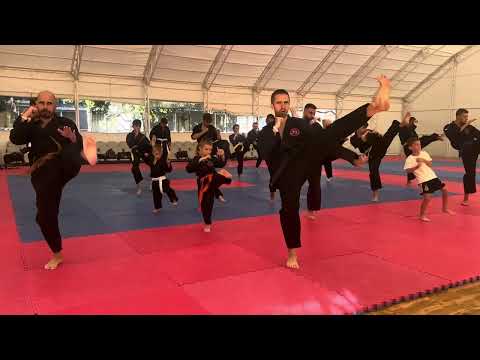 Видео: Загрявка за Ката 🥋 Летен лагер по Бойни Изкуства 2025 – Freestyle Martial Arts Bulgaria