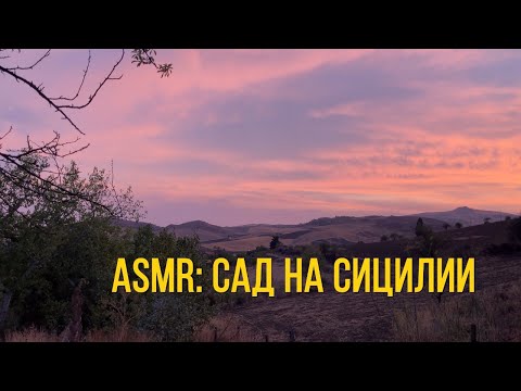 Видео: ASMR. Закат. Звуки сицилийского сада в августе.