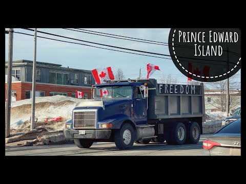 Видео: VLOG #170 / Freedom Convoy на Острове Принца Эдварда / Впечатления о новой работе / Февраль 2022