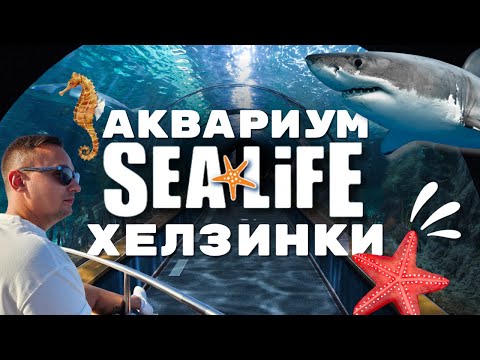 Видео: SeaLife Хельсинки Подводное царство | Магия глубин океана 🦈 2024 [4K]