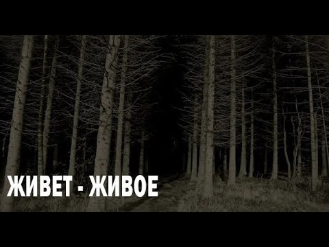 Видео: ЧТО-ТО НЕ ТАК. Страшные. Мистические. Творческие истории. Хоррор