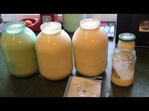 Видео: ГОРГОНЗОЛА/СИНИЙ СЫР С ПЛЕСЕНЬЮ