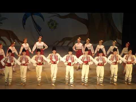 Видео: Северняци – веселяци