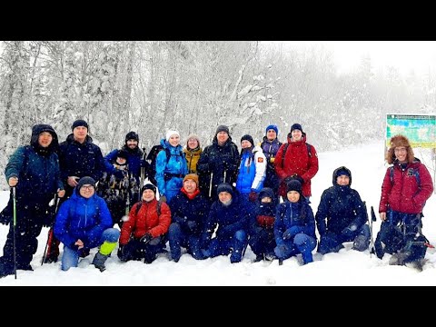 Видео: ПВД Пыхта - Сосновый Бор